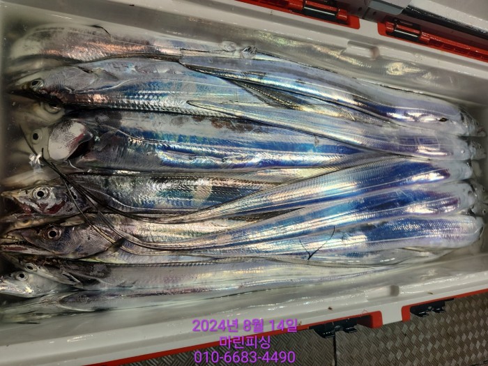 040d97cd4b9bf8be73574c894bcaec88_1723594095_3272.jpg 040d97cd4b9bf8be73574c894bcaec88_1723594095_3272.jpg