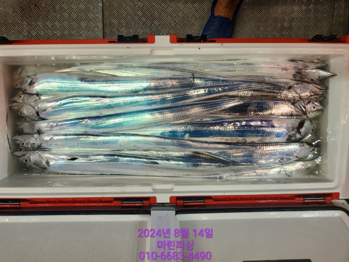 040d97cd4b9bf8be73574c894bcaec88_1723594096_5458.jpg 040d97cd4b9bf8be73574c894bcaec88_1723594096_5458.jpg