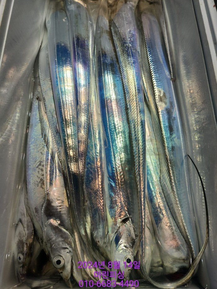 040d97cd4b9bf8be73574c894bcaec88_1723594097_7166.jpg 040d97cd4b9bf8be73574c894bcaec88_1723594097_7166.jpg