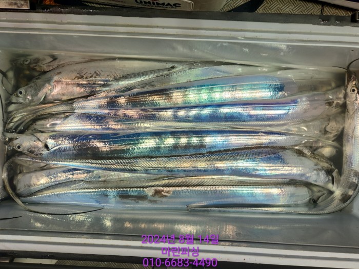 040d97cd4b9bf8be73574c894bcaec88_1723594099_0914.jpg 040d97cd4b9bf8be73574c894bcaec88_1723594099_0914.jpg