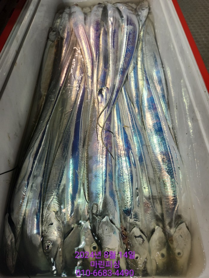 040d97cd4b9bf8be73574c894bcaec88_1723594100_2645.jpg 040d97cd4b9bf8be73574c894bcaec88_1723594100_2645.jpg