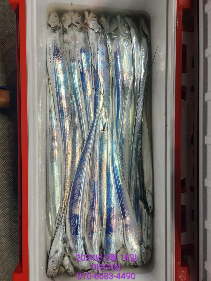 040d97cd4b9bf8be73574c894bcaec88_1723594101_4525.jpg 040d97cd4b9bf8be73574c894bcaec88_1723594101_4525.jpg