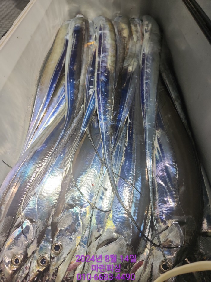 040d97cd4b9bf8be73574c894bcaec88_1723594102_7741.jpg 040d97cd4b9bf8be73574c894bcaec88_1723594102_7741.jpg