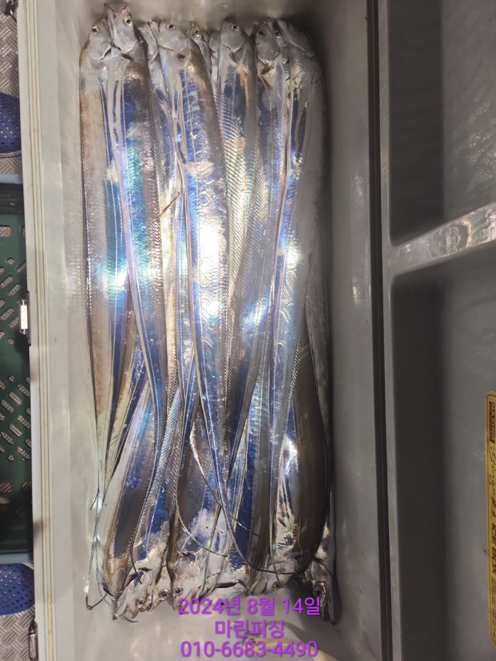 040d97cd4b9bf8be73574c894bcaec88_1723594104_2236.jpg 040d97cd4b9bf8be73574c894bcaec88_1723594104_2236.jpg