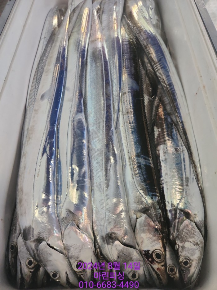 040d97cd4b9bf8be73574c894bcaec88_1723594105_2627.jpg 040d97cd4b9bf8be73574c894bcaec88_1723594105_2627.jpg