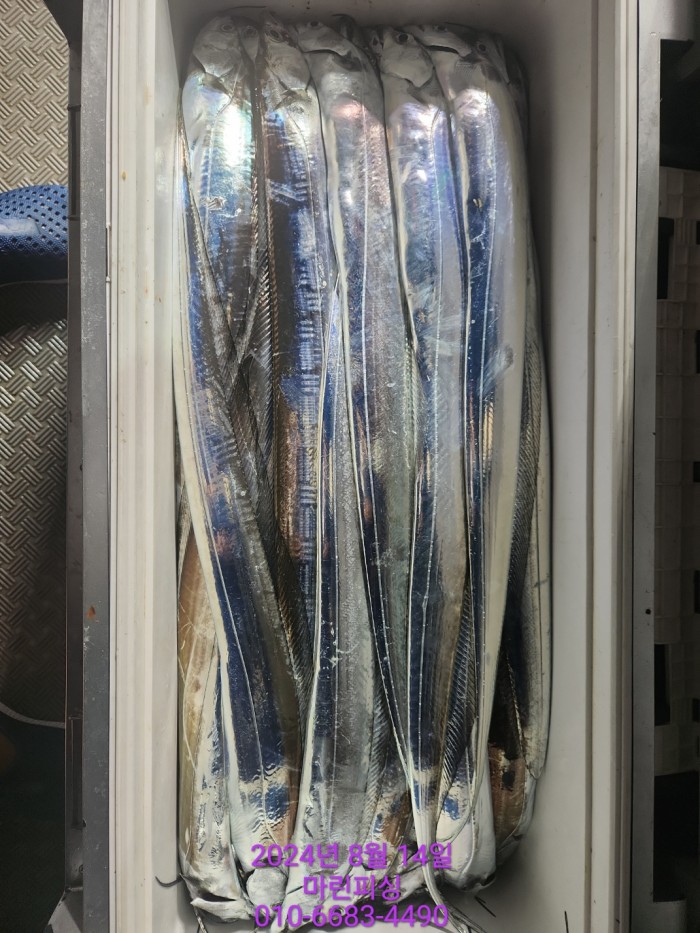 040d97cd4b9bf8be73574c894bcaec88_1723594106_448.jpg 040d97cd4b9bf8be73574c894bcaec88_1723594106_448.jpg