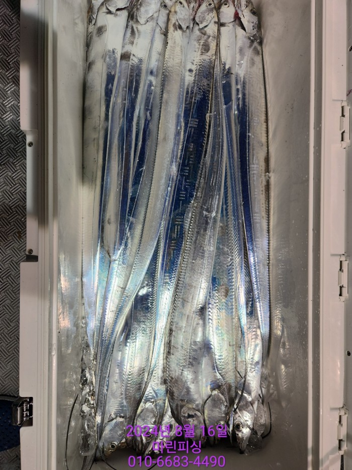 040d97cd4b9bf8be73574c894bcaec88_1723766928_5982.jpg 040d97cd4b9bf8be73574c894bcaec88_1723766928_5982.jpg