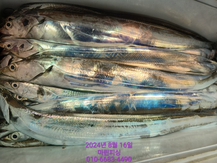 040d97cd4b9bf8be73574c894bcaec88_1723766930_2763.jpg 040d97cd4b9bf8be73574c894bcaec88_1723766930_2763.jpg