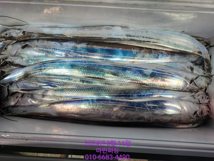 040d97cd4b9bf8be73574c894bcaec88_1723766931_3767.jpg 040d97cd4b9bf8be73574c894bcaec88_1723766931_3767.jpg