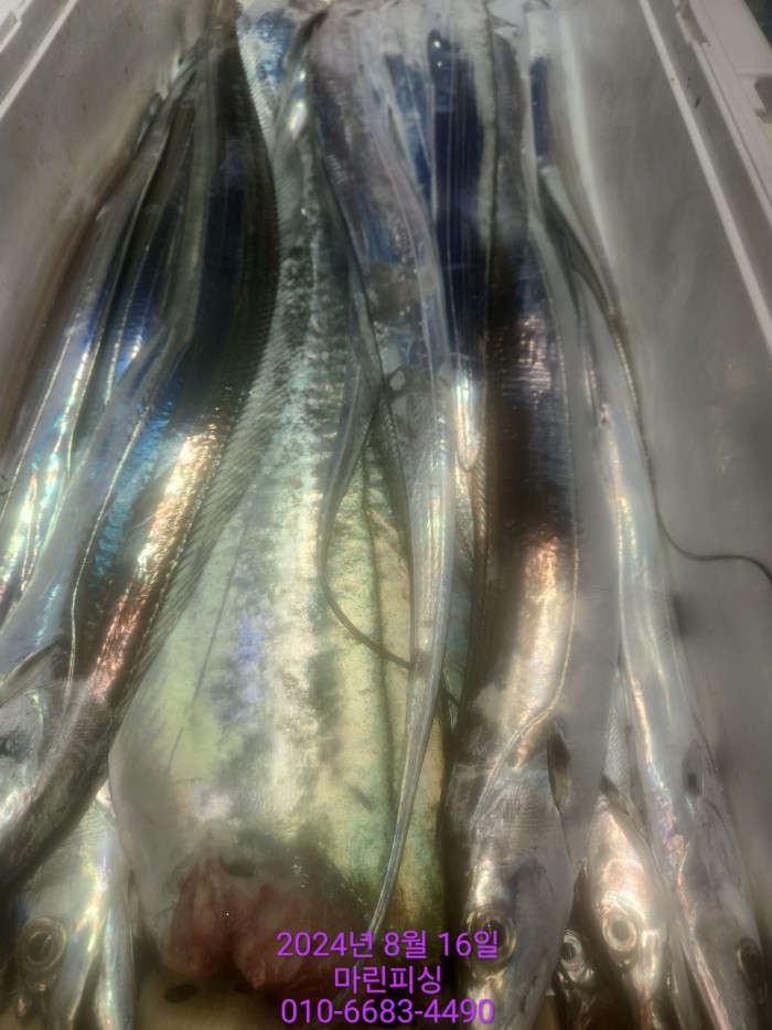 040d97cd4b9bf8be73574c894bcaec88_1723766932_2041.jpg 040d97cd4b9bf8be73574c894bcaec88_1723766932_2041.jpg