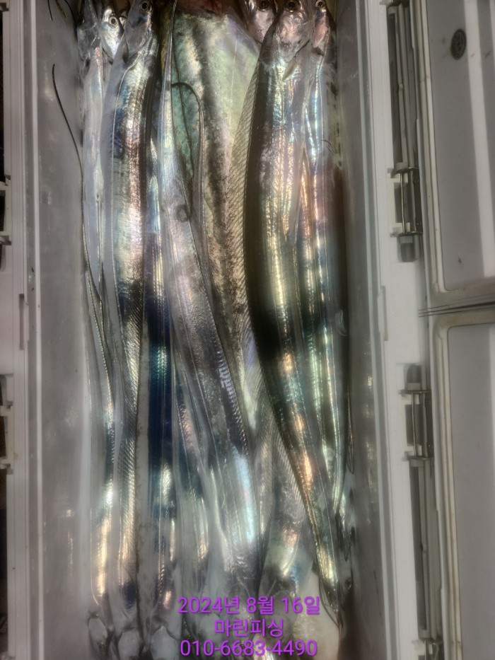 040d97cd4b9bf8be73574c894bcaec88_1723766933_8274.jpg 040d97cd4b9bf8be73574c894bcaec88_1723766933_8274.jpg