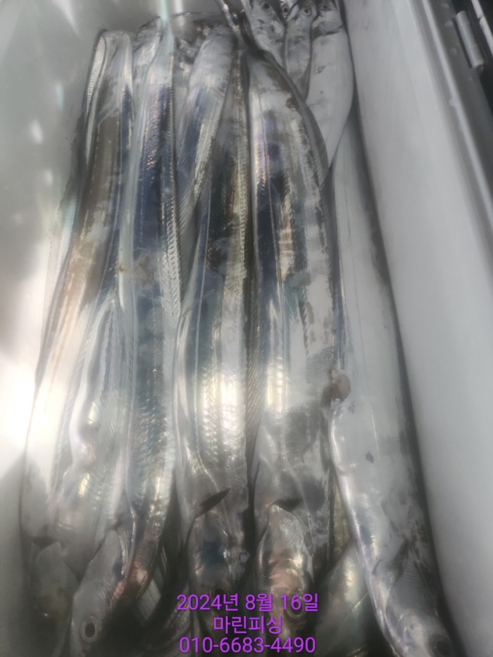 040d97cd4b9bf8be73574c894bcaec88_1723766934_8021.jpg 040d97cd4b9bf8be73574c894bcaec88_1723766934_8021.jpg