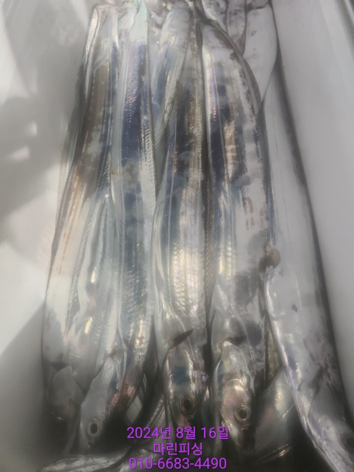 040d97cd4b9bf8be73574c894bcaec88_1723766935_6232.jpg 040d97cd4b9bf8be73574c894bcaec88_1723766935_6232.jpg