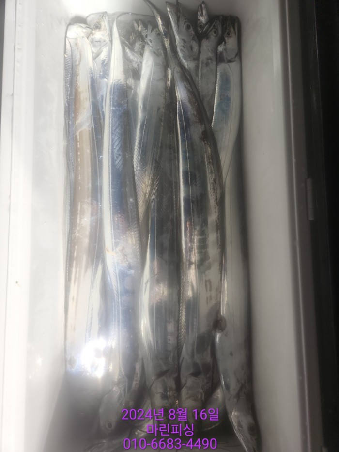 040d97cd4b9bf8be73574c894bcaec88_1723766936_354.jpg 040d97cd4b9bf8be73574c894bcaec88_1723766936_354.jpg