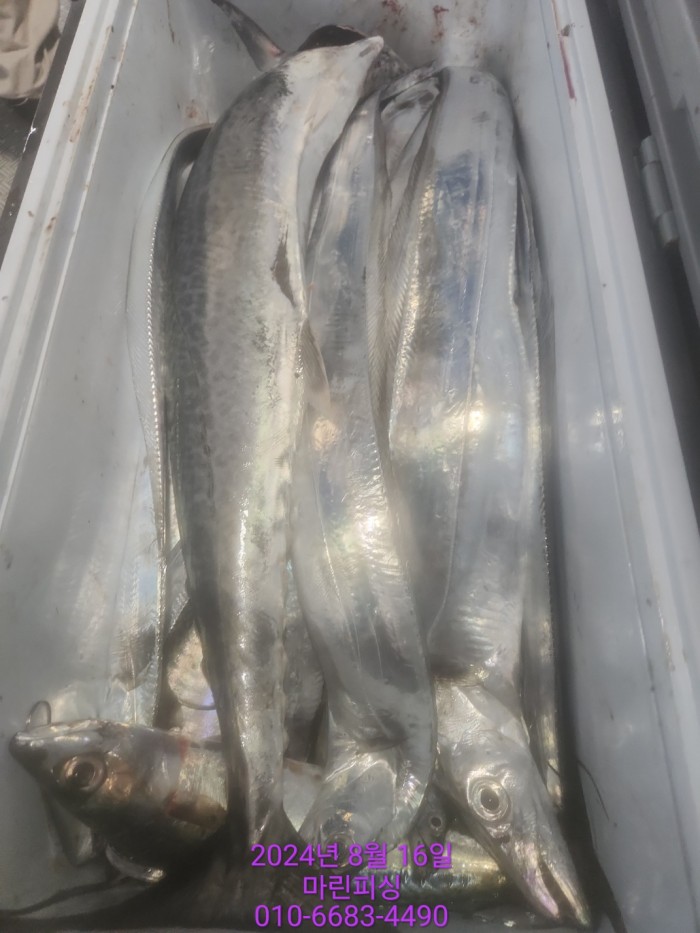 040d97cd4b9bf8be73574c894bcaec88_1723766937_1631.jpg 040d97cd4b9bf8be73574c894bcaec88_1723766937_1631.jpg