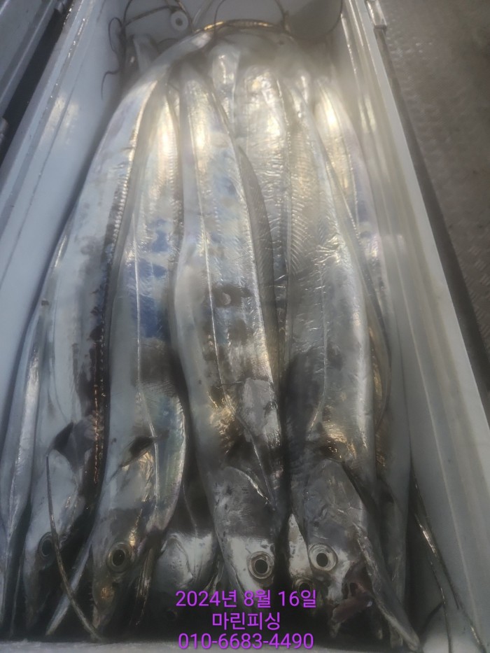 040d97cd4b9bf8be73574c894bcaec88_1723766938_2582.jpg 040d97cd4b9bf8be73574c894bcaec88_1723766938_2582.jpg