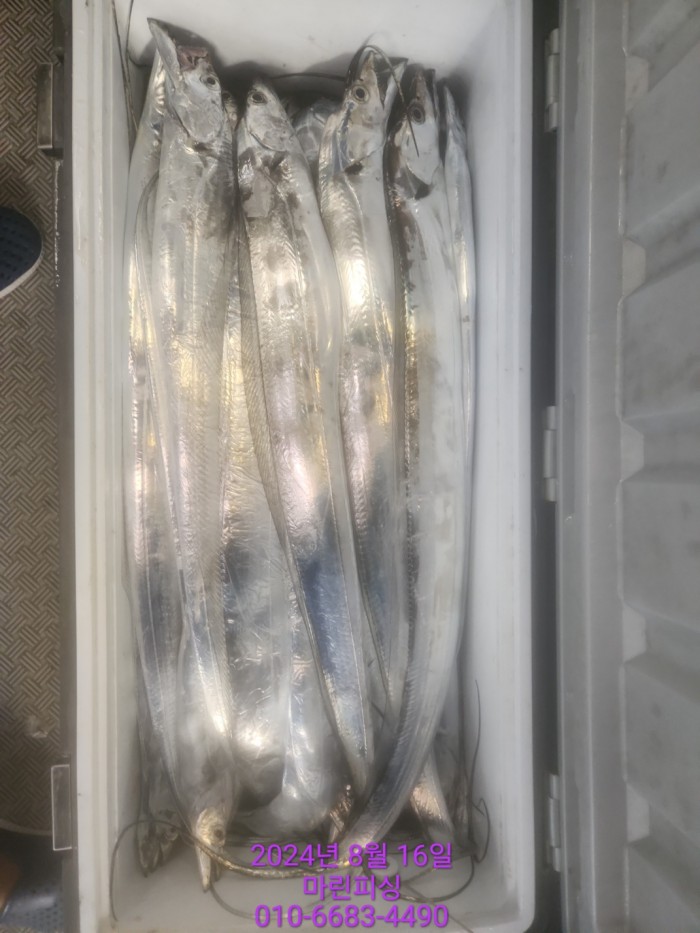 040d97cd4b9bf8be73574c894bcaec88_1723766939_0544.jpg 040d97cd4b9bf8be73574c894bcaec88_1723766939_0544.jpg