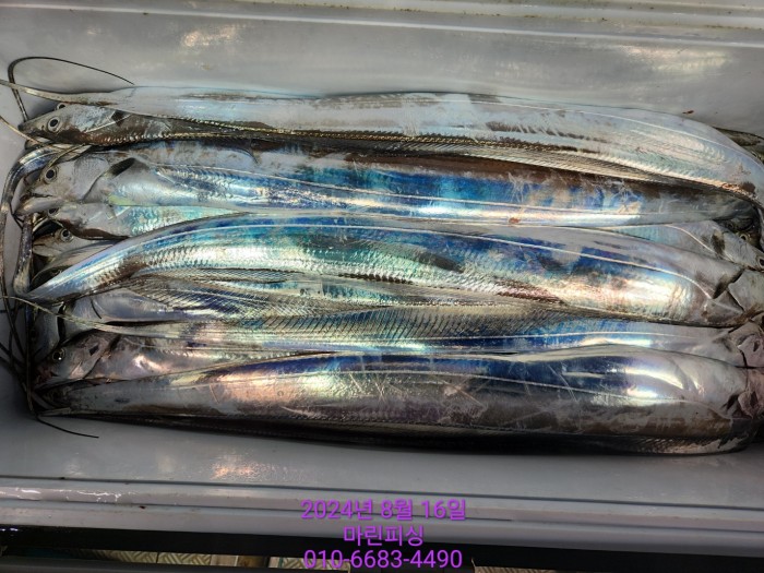 040d97cd4b9bf8be73574c894bcaec88_1723766940_6418.jpg 040d97cd4b9bf8be73574c894bcaec88_1723766940_6418.jpg