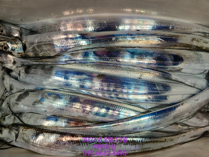 bd9ee78432251ba6b27e2ce4d453f5d8_1723511783_3059.jpg bd9ee78432251ba6b27e2ce4d453f5d8_1723511783_3059.jpg