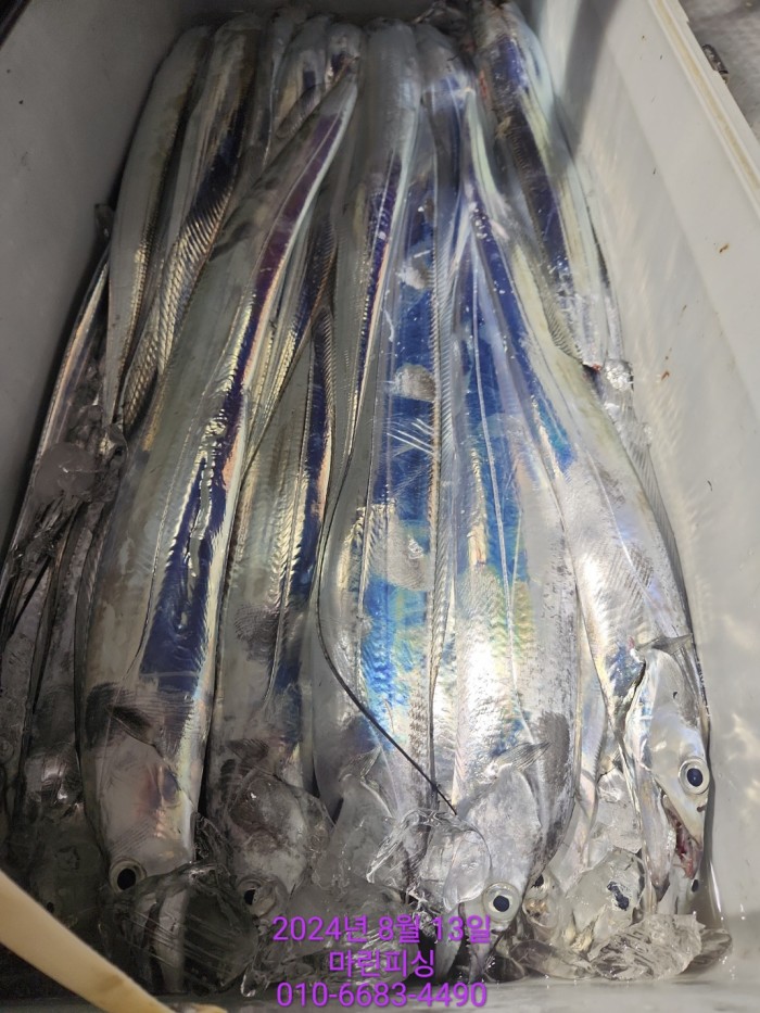 bd9ee78432251ba6b27e2ce4d453f5d8_1723511786_714.jpg bd9ee78432251ba6b27e2ce4d453f5d8_1723511786_714.jpg