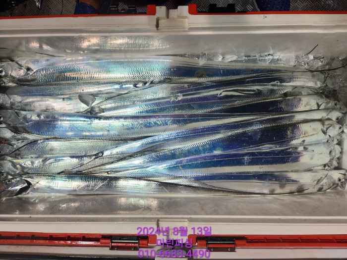 bd9ee78432251ba6b27e2ce4d453f5d8_1723511789_7807.jpg bd9ee78432251ba6b27e2ce4d453f5d8_1723511789_7807.jpg