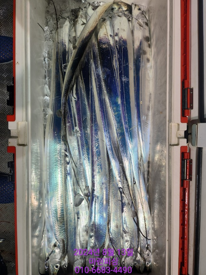 bd9ee78432251ba6b27e2ce4d453f5d8_1723511791_1509.jpg bd9ee78432251ba6b27e2ce4d453f5d8_1723511791_1509.jpg