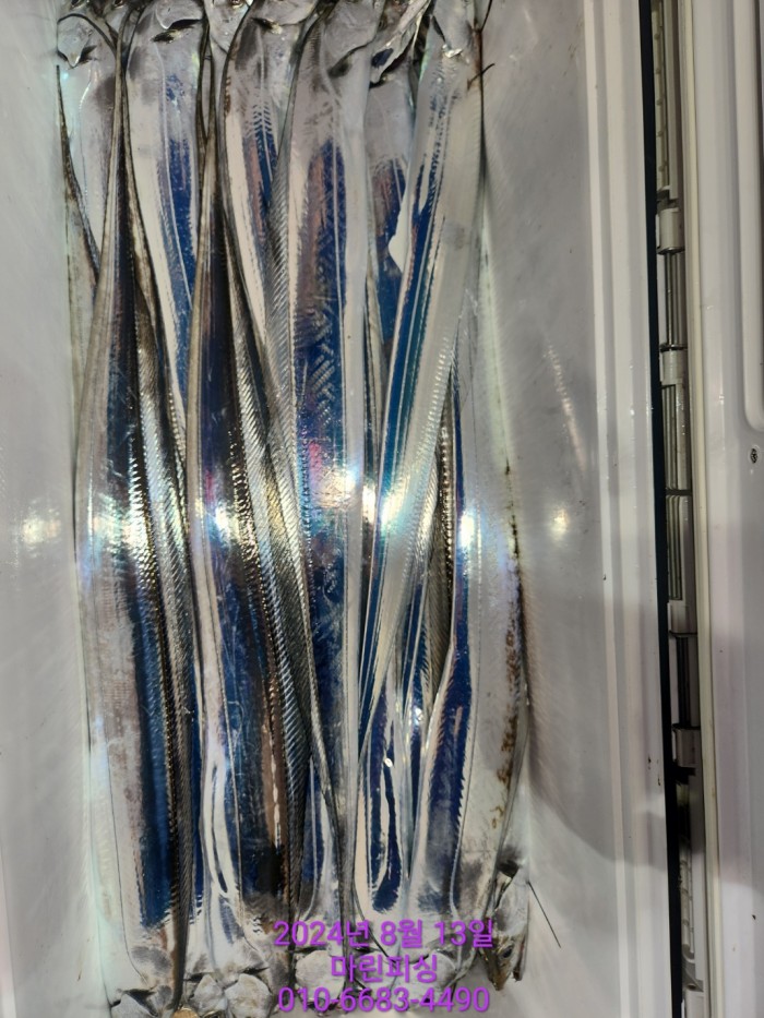 bd9ee78432251ba6b27e2ce4d453f5d8_1723511792_4009.jpg bd9ee78432251ba6b27e2ce4d453f5d8_1723511792_4009.jpg