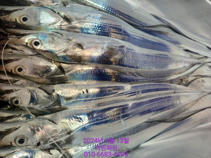 bd9ee78432251ba6b27e2ce4d453f5d8_1723511793_5757.jpg bd9ee78432251ba6b27e2ce4d453f5d8_1723511793_5757.jpg