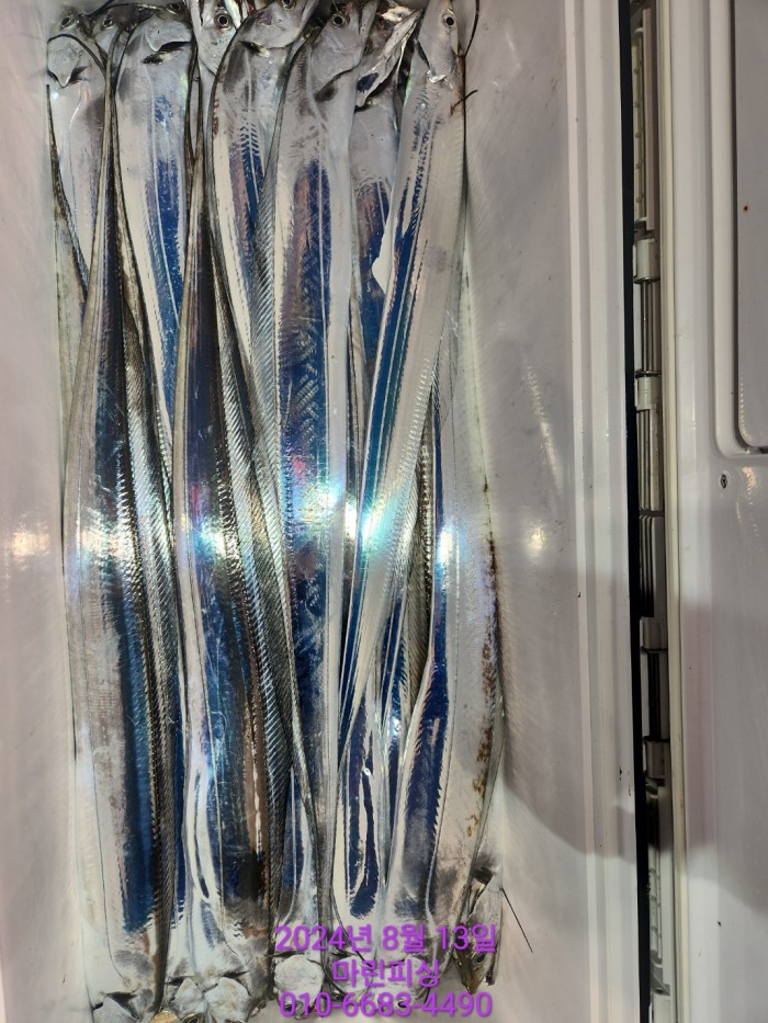 bd9ee78432251ba6b27e2ce4d453f5d8_1723511795_2868.jpg bd9ee78432251ba6b27e2ce4d453f5d8_1723511795_2868.jpg