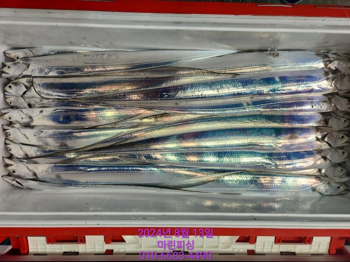 bd9ee78432251ba6b27e2ce4d453f5d8_1723511796_6214.jpg bd9ee78432251ba6b27e2ce4d453f5d8_1723511796_6214.jpg