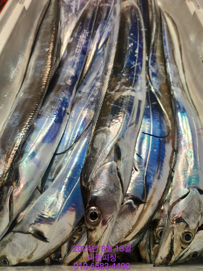 bd9ee78432251ba6b27e2ce4d453f5d8_1723511797_7859.jpg bd9ee78432251ba6b27e2ce4d453f5d8_1723511797_7859.jpg