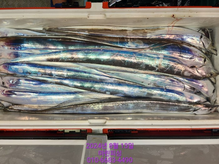 bd9ee78432251ba6b27e2ce4d453f5d8_1723511799_3931.jpg bd9ee78432251ba6b27e2ce4d453f5d8_1723511799_3931.jpg