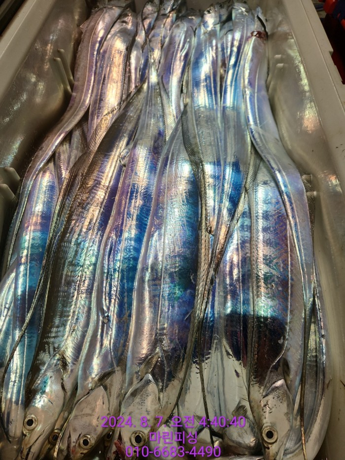 ea84bdd22956338110db5cfcc48ddb86_1722994986_6629.jpg ea84bdd22956338110db5cfcc48ddb86_1722994986_6629.jpg