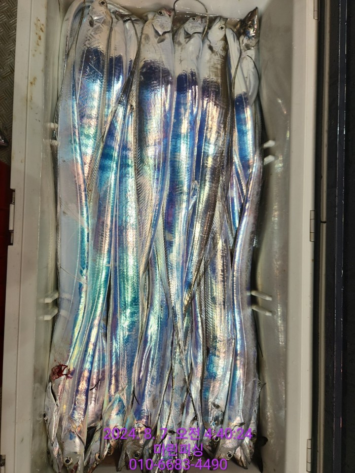 ea84bdd22956338110db5cfcc48ddb86_1722994988_0844.jpg ea84bdd22956338110db5cfcc48ddb86_1722994988_0844.jpg