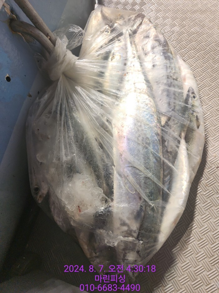 ea84bdd22956338110db5cfcc48ddb86_1722994989_2458.jpg ea84bdd22956338110db5cfcc48ddb86_1722994989_2458.jpg