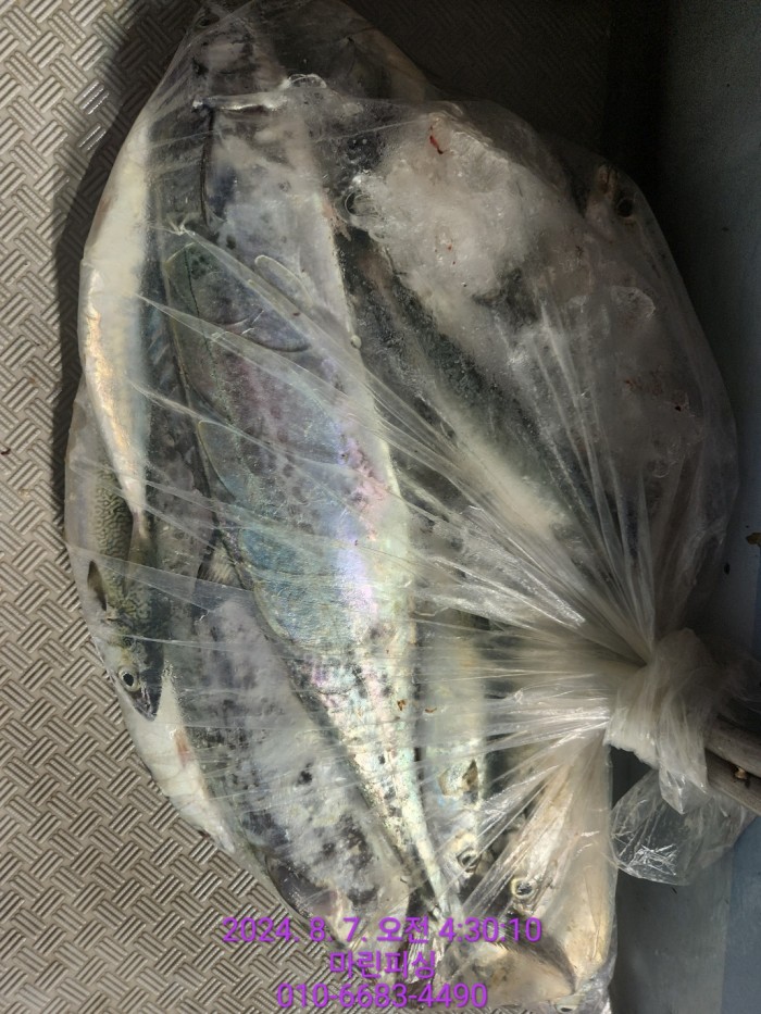 ea84bdd22956338110db5cfcc48ddb86_1722994990_1872.jpg ea84bdd22956338110db5cfcc48ddb86_1722994990_1872.jpg