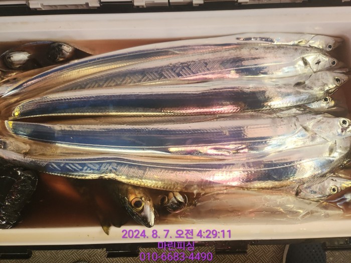 ea84bdd22956338110db5cfcc48ddb86_1722994991_6191.jpg ea84bdd22956338110db5cfcc48ddb86_1722994991_6191.jpg