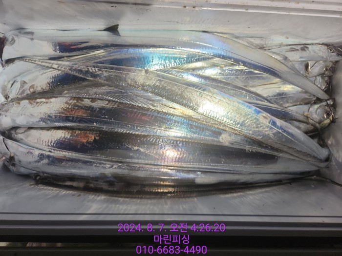 ea84bdd22956338110db5cfcc48ddb86_1722994992_9043.jpg ea84bdd22956338110db5cfcc48ddb86_1722994992_9043.jpg