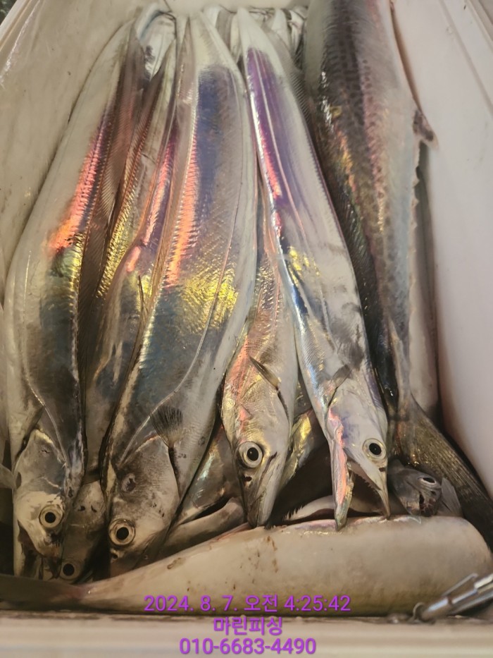 ea84bdd22956338110db5cfcc48ddb86_1722994993_9665.jpg ea84bdd22956338110db5cfcc48ddb86_1722994993_9665.jpg