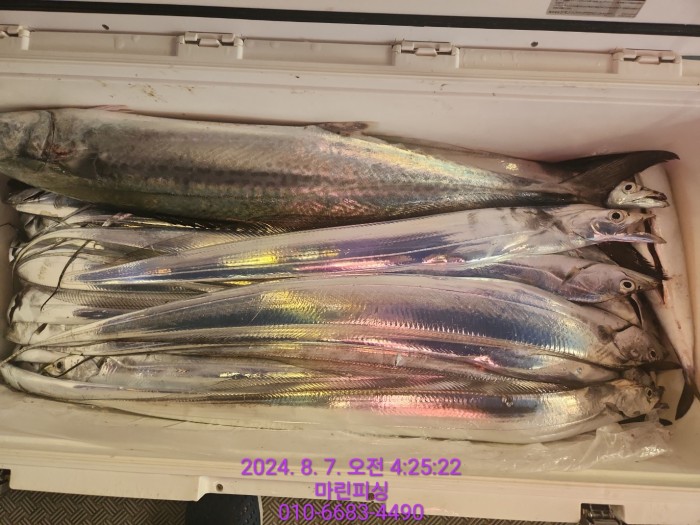 ea84bdd22956338110db5cfcc48ddb86_1722994994_9988.jpg ea84bdd22956338110db5cfcc48ddb86_1722994994_9988.jpg