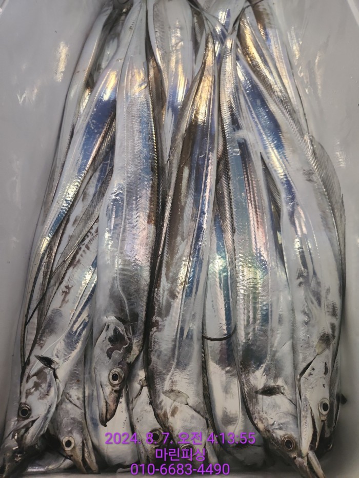 ea84bdd22956338110db5cfcc48ddb86_1722994996_5705.jpg ea84bdd22956338110db5cfcc48ddb86_1722994996_5705.jpg