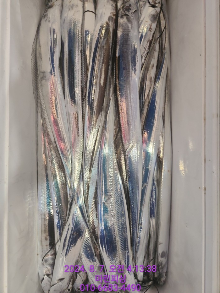 ea84bdd22956338110db5cfcc48ddb86_1722994997_6869.jpg ea84bdd22956338110db5cfcc48ddb86_1722994997_6869.jpg