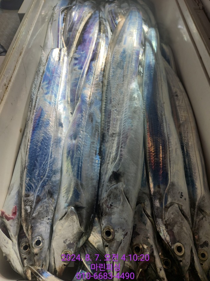 ea84bdd22956338110db5cfcc48ddb86_1722994999_2668.jpg ea84bdd22956338110db5cfcc48ddb86_1722994999_2668.jpg