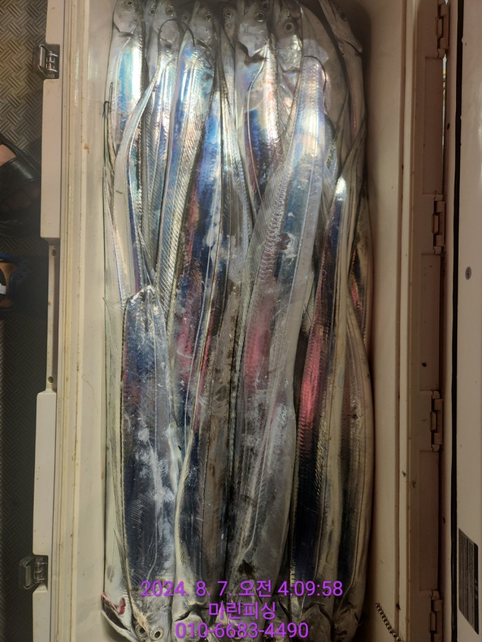 ea84bdd22956338110db5cfcc48ddb86_1722995001_9211.jpg ea84bdd22956338110db5cfcc48ddb86_1722995001_9211.jpg