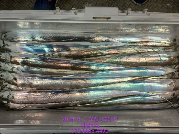 ea84bdd22956338110db5cfcc48ddb86_1722995003_9381.jpg ea84bdd22956338110db5cfcc48ddb86_1722995003_9381.jpg