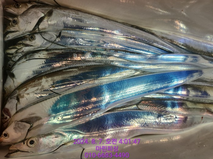 ea84bdd22956338110db5cfcc48ddb86_1722995005_2813.jpg ea84bdd22956338110db5cfcc48ddb86_1722995005_2813.jpg