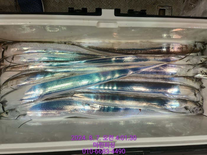 ea84bdd22956338110db5cfcc48ddb86_1722995006_5402.jpg ea84bdd22956338110db5cfcc48ddb86_1722995006_5402.jpg