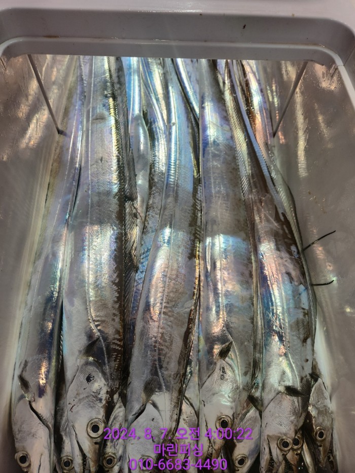 ea84bdd22956338110db5cfcc48ddb86_1722995008_112.jpg ea84bdd22956338110db5cfcc48ddb86_1722995008_112.jpg