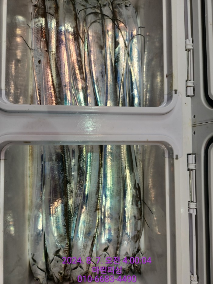 ea84bdd22956338110db5cfcc48ddb86_1722995009_4692.jpg ea84bdd22956338110db5cfcc48ddb86_1722995009_4692.jpg