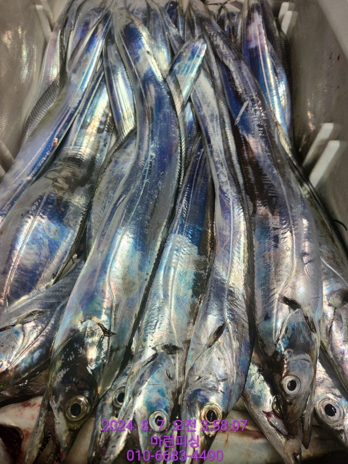 ea84bdd22956338110db5cfcc48ddb86_1722995010_4746.jpg ea84bdd22956338110db5cfcc48ddb86_1722995010_4746.jpg